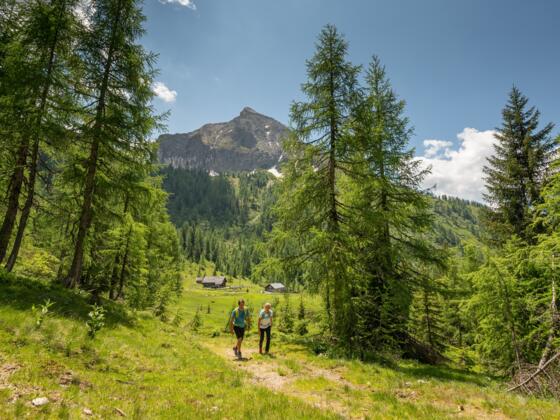 Wandern Steinkaralm