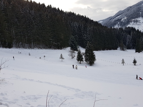 Rodelbahn