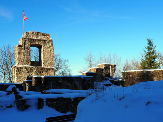 Ruine Seisenberg 739m