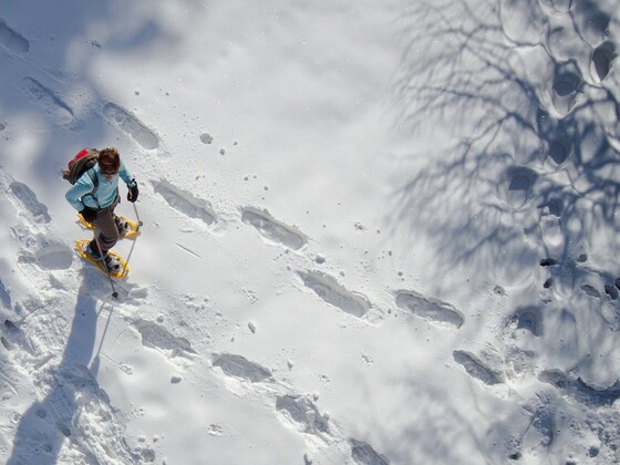 Schneeschuhwanderung in Scheffsnoth / Lofer