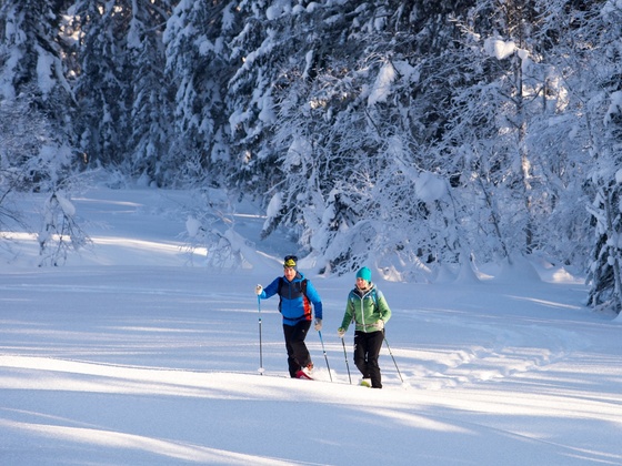 Schneeschuhwanderung auf die Auer Wiesen