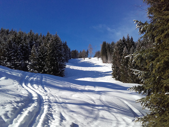 Aufstieg zur Bergstation Panoramabahn