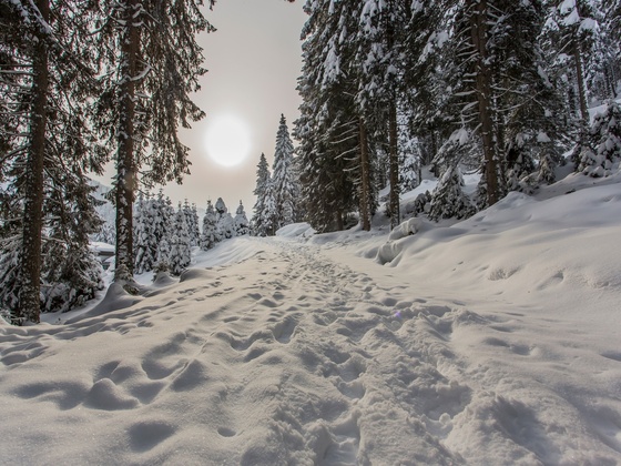 Winterlandschaft