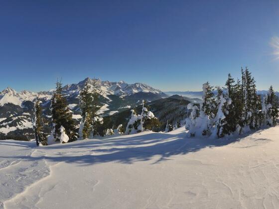 Blick auf Dachsteinmassiv