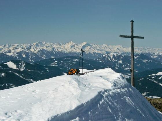 Die Hohen Tauern im Hintergrund