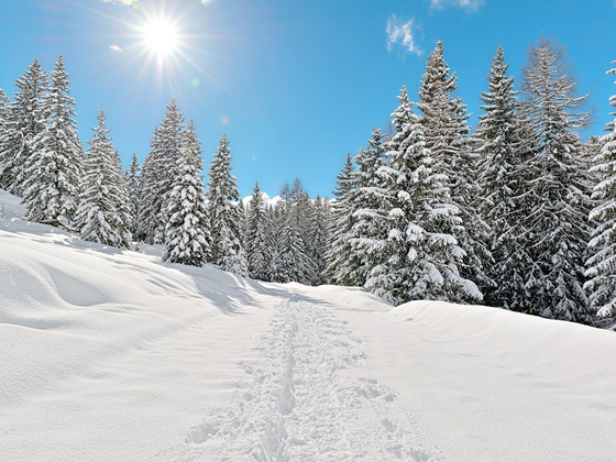 Winterlandschaft