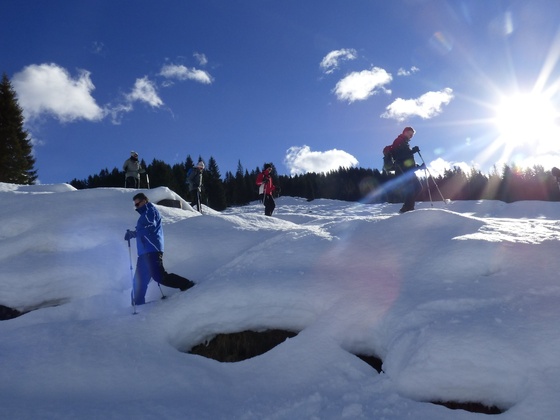 Perfekt zum Schneeschuhwandern