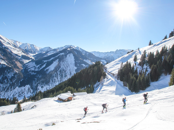 Bei der Hinterjudendorfer Alm