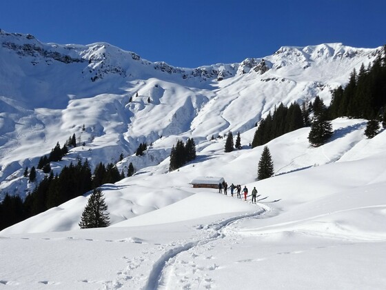 ... ab 1400 m wieder in südlicher Richtung zur Jetzbachalm (1523 m). Das mächtige Kar unter dem Kamm der Schwalbenwand öffnet sich.