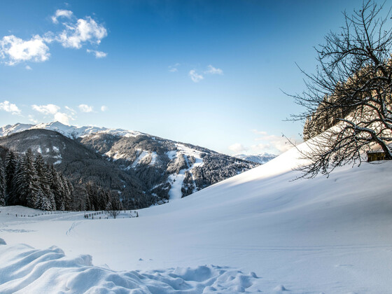 Blick vom Sattelbauer Richtung Skigebiet
