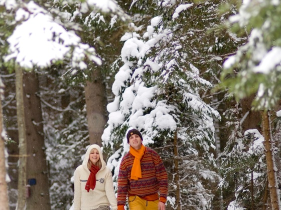 Winterwandern