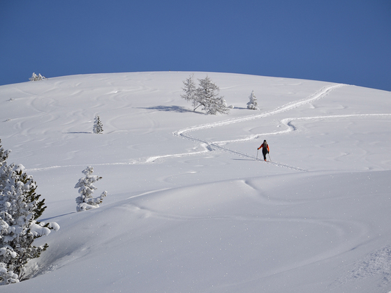 Skitour zum Loosbühel