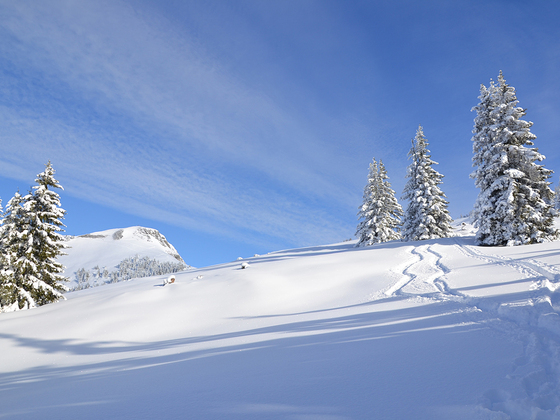Tief verschneite Winterlandschaft