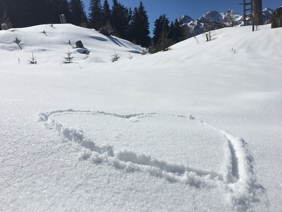 Skitour Hahnbaum