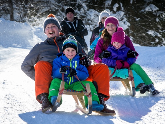 Rodelbahn Gnadenalm