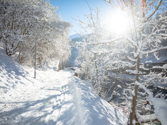 Winterlandschaft Gaschurn