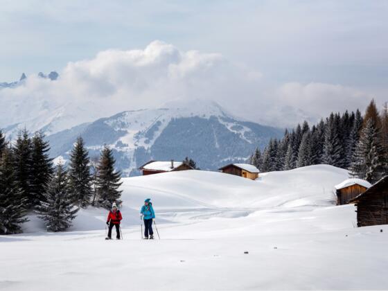 Schneeschuhwanderung Historisches Bergwerk