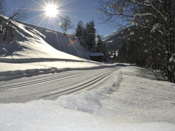 Langlaufen in Inneralpbach