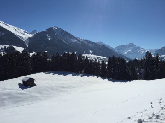 Schwende