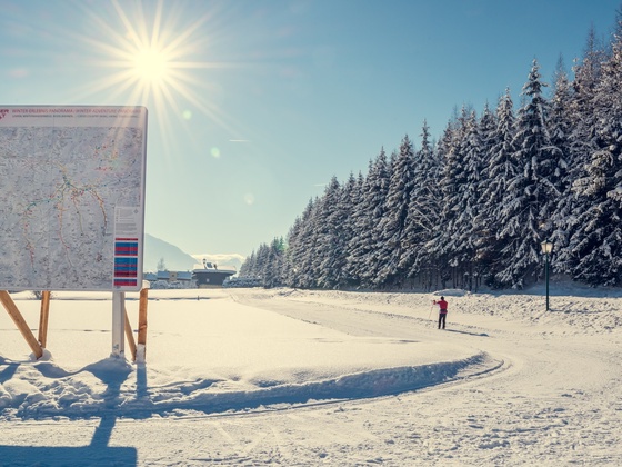Einstieg mit Infotafel