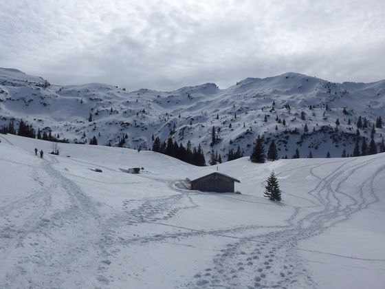 Blick von der 'Sebenalpe auf den Lumberger Grat