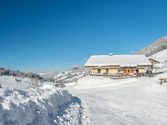 Schönangeralm Wildschöönau