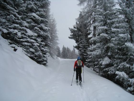Aufstieg in Richtung Schatzberg