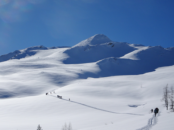 Skitour zum Schöderhorn