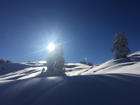 Skitour Trainsjoch