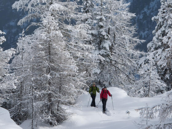 Winterwandern - Sölden