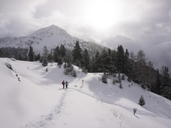 Winterwandern Stallwiesalm