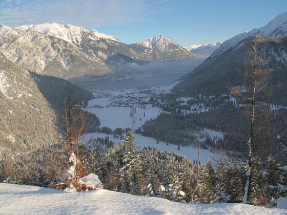Feilalm