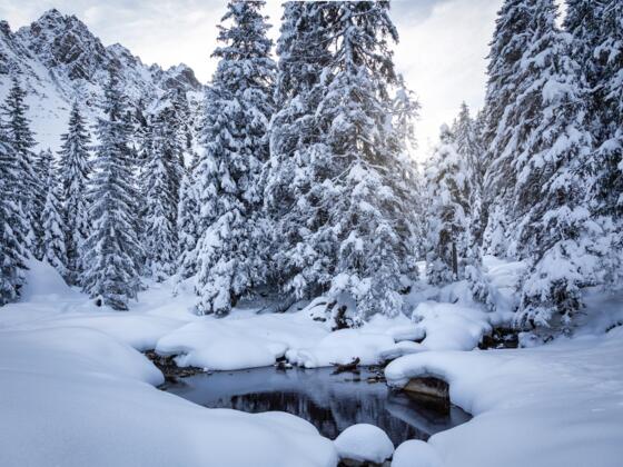 Winterlandschaft Gargellen