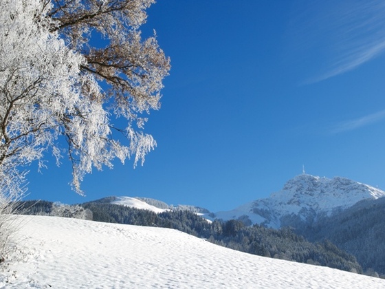 Oberndorf Winter