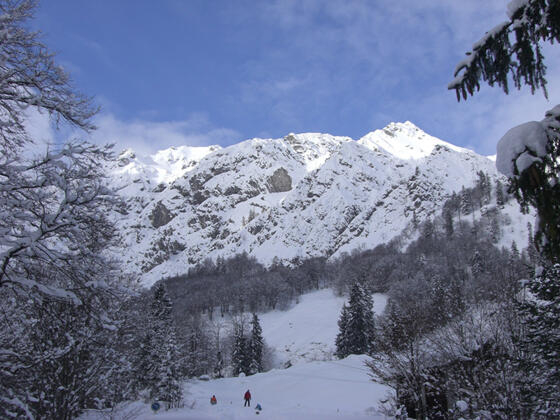Griesner Alm Winterlandschaft