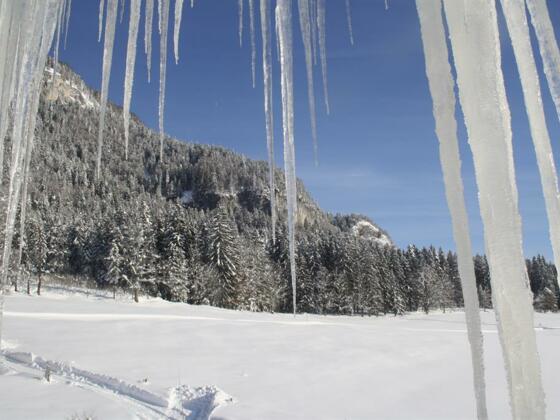 Winterwandern in den Kitzbüheler Alpen