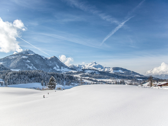 Blick Richtung Fieberbrunn vom Winterwanderweg aus