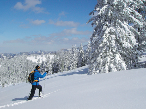 Winterwanderung PillerseeTal