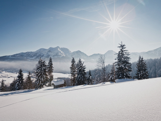 Winterlandschaft Hochfilzen
