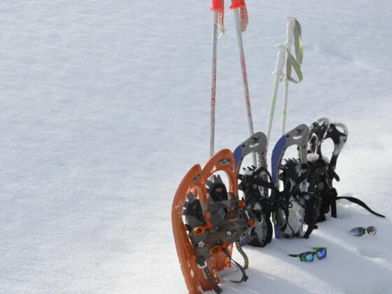 Schneeschuhwandern