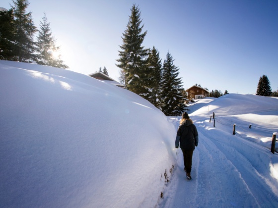 Winterwandern Bartholomäberg