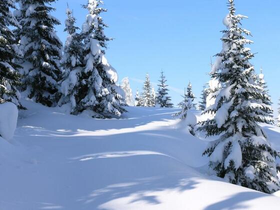 Talblickwanderung