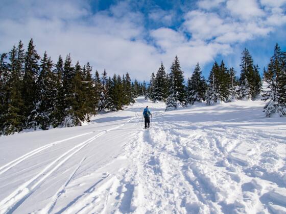 Schneeschuhwanderng Wannaköpfe