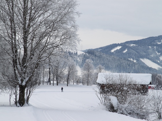 Langlauf Radstadt - Untertauern