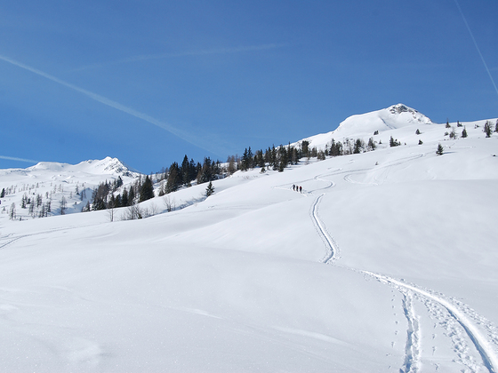 Aufstieg zum Plattenkogel