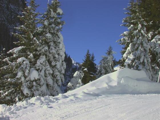 Winterwanderung Paznauner Thaya