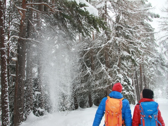 Stanzach-Schneckenwaldbodenrunde