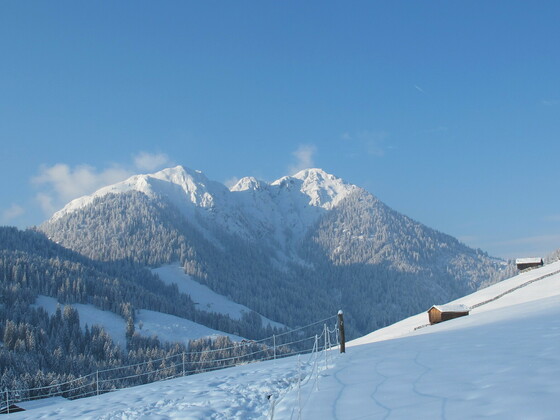 Thierbach Wildschönau Blick auf den Gradlspitz