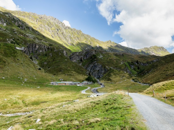 Weg zur Verbellaalpe