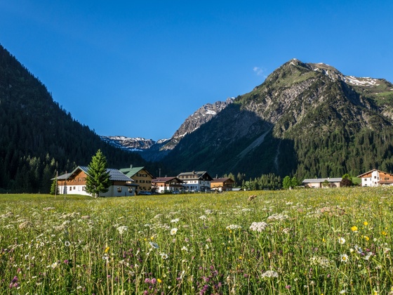 Blick ins Gemsteltal